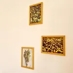 Iskra Apartman *